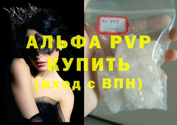ECSTASY Михайлов