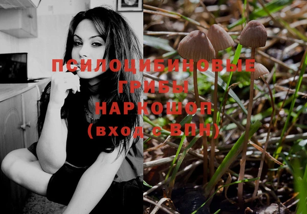 ECSTASY Михайлов
