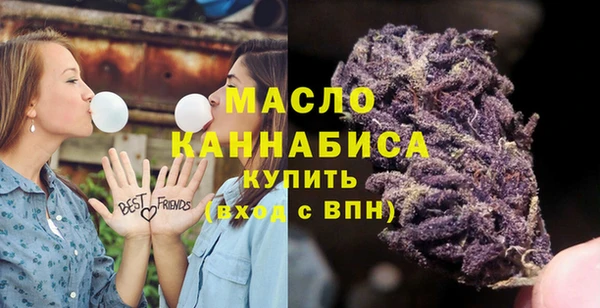 ECSTASY Михайлов