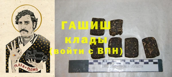 гашик Мегион