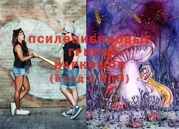 ECSTASY Михайлов