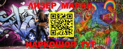 индика Заволжье