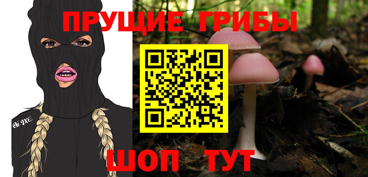 Псилоцибиновые грибы мицелий  где найти   Туймазы  Вход с VPN 