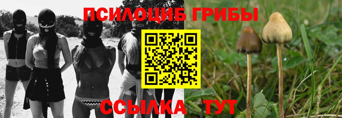 Галлюциногенные грибы Cubensis  Галлюциногенные грибы мицелий  Туймазы 